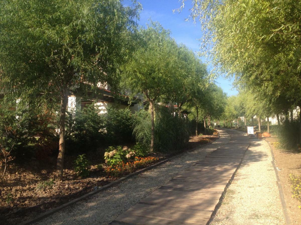 סוזופול Apartments In Green Life Complex - 1 Bedroom And Studio מראה חיצוני תמונה